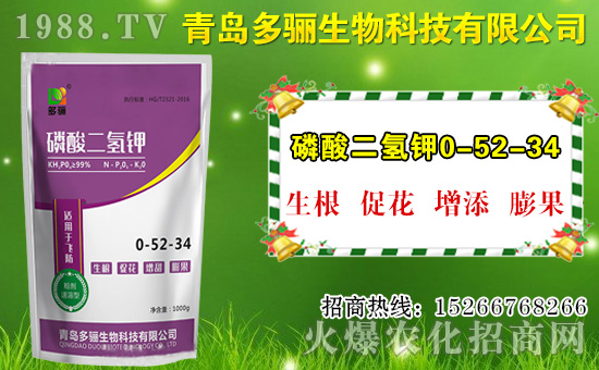 山竹作用與功效有哪些？如何挑選山竹？