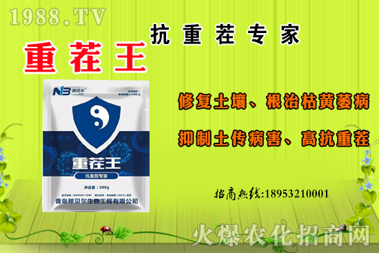 山竹什么季節(jié)成熟？山竹的主要產(chǎn)地在哪里？怎么食用？