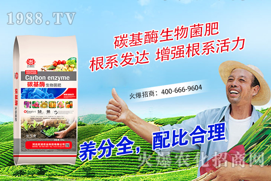 山竹如何繁殖？山竹種植條件及技術(shù)要點(diǎn)！