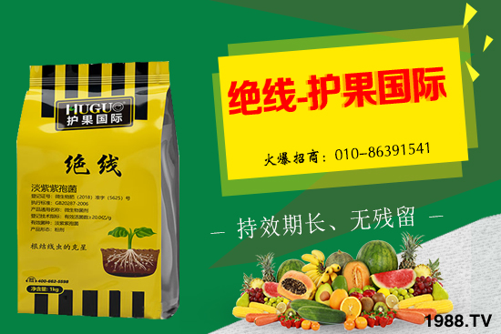 杏樹生長(zhǎng)條件有哪些，杏樹栽培管理技術(shù)！