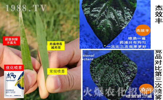     ͨ������-��Ч�S