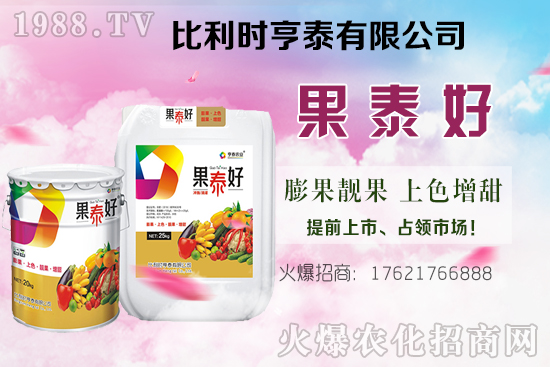 油茶樹的價格怎樣？種植前景如何？油茶樹畝產效益分析！