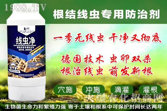 火龍果套袋起什么作用，火龍果套袋果袋如何選擇？