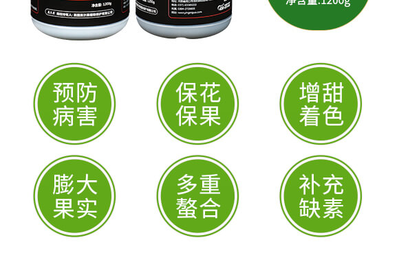 ����ʮ��Ԫ��-�����-Ӣ����_06