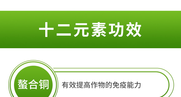 ����ʮ��Ԫ��-�����-Ӣ����_07