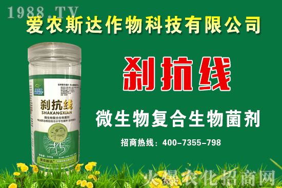 今日糧價：2020年9月11日小麥價格行情預(yù)測！