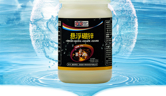 �Ҹ����\-Ӣ����_02