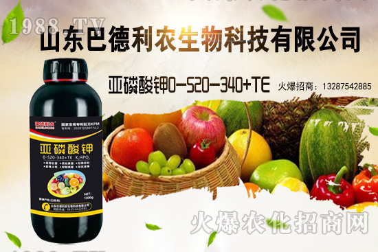 小麥價格能漲到多少錢一斤？部分地區(qū)價格行情！