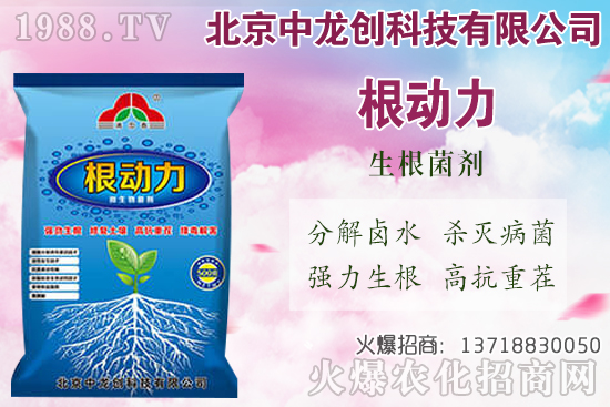 白蘿卜的需肥特性有哪些，白蘿卜施肥技術(shù)要點(diǎn)！