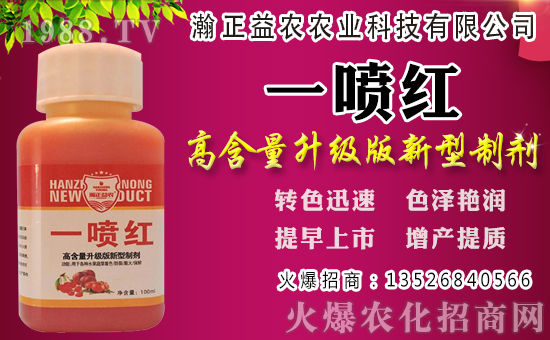 白蘿卜初秋種植還是深秋?白蘿卜種植時間和管理!