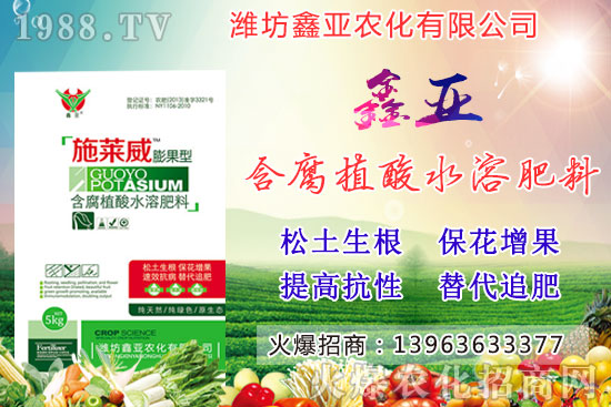 糧食漲價！20209月17日小麥價格行情如何？