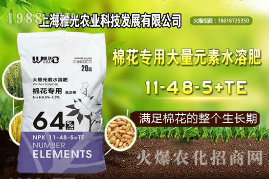 甜椒什么時(shí)候種植，甜椒栽培技術(shù)要點(diǎn)！