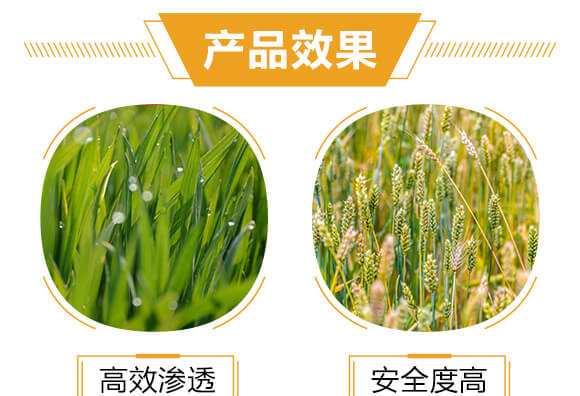 進口專用殺螨助劑-天狄-科利農(nóng)_05