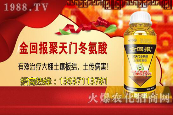 大顆粒尿素與小顆粒有啥不同？尿素該選哪一種？