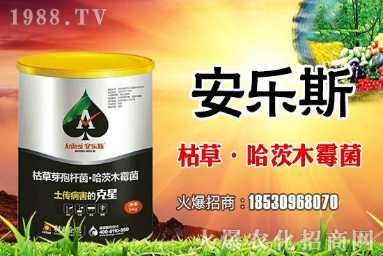 小麥種子是購(gòu)買(mǎi)還是自留？小麥自留種子需要注意哪些內(nèi)容？