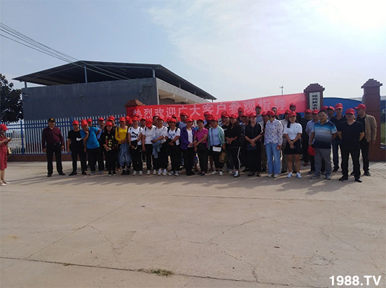 水溶肥市場大變革??？海藻精、魚蛋白將被它代替！1000多用戶鼎力推薦！