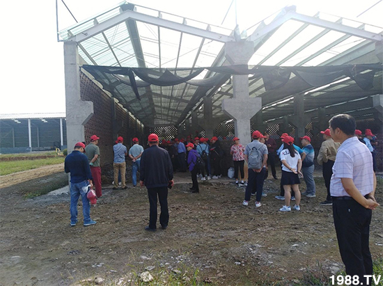 水溶肥市場大變革??？海藻精、魚蛋白將被它代替！1000多用戶鼎力推薦！