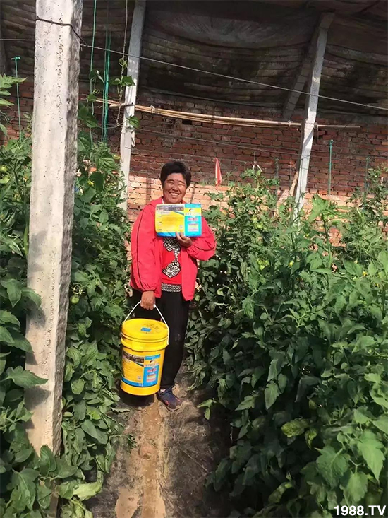 水溶肥市場大變革??？海藻精、魚蛋白將被它代替！1000多用戶鼎力推薦！