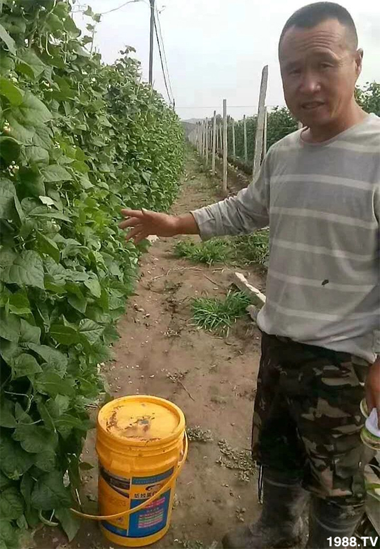 水溶肥市場大變革?。亢Ｔ寰?、魚蛋白將被它代替！1000多用戶鼎力推薦！