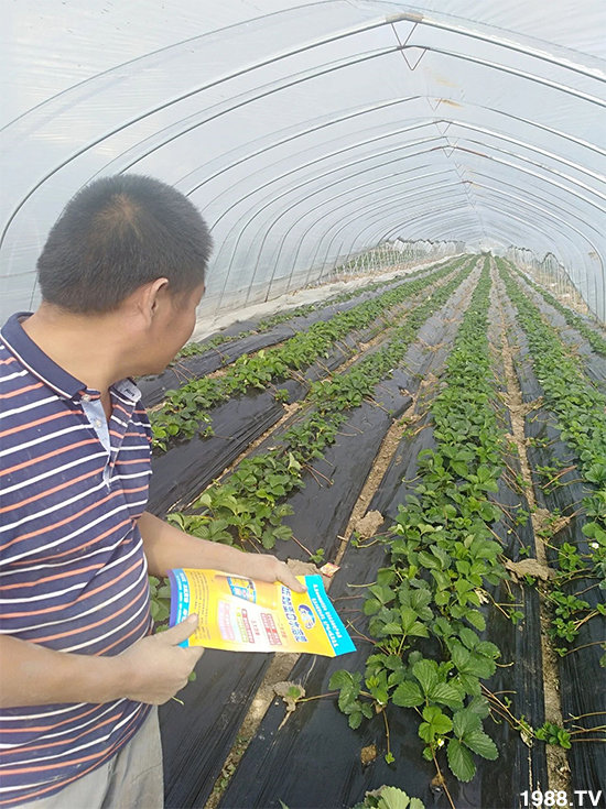 水溶肥市場大變革??？海藻精、魚蛋白將被它代替！1000多用戶鼎力推薦！