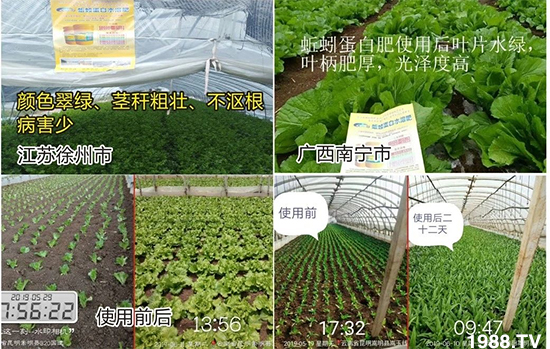 水溶肥市場大變革?。亢Ｔ寰?、魚蛋白將被它代替！1000多用戶鼎力推薦！