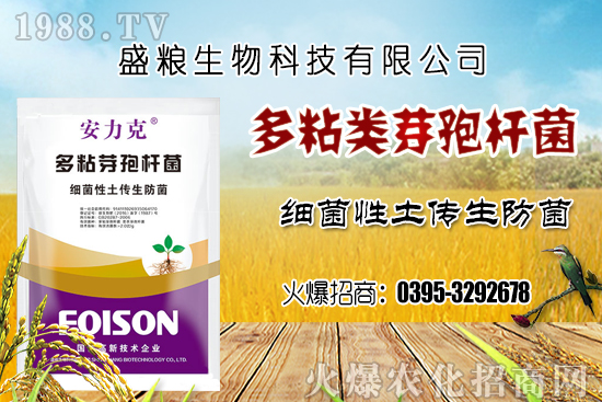 車?yán)遄臃N植環(huán)境要求有哪幾點(diǎn)？車?yán)遄恿挤N選擇及良種套種！