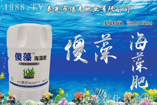 市場逐步回歸正;久妫蠖箖r(jià)格沖高回落!