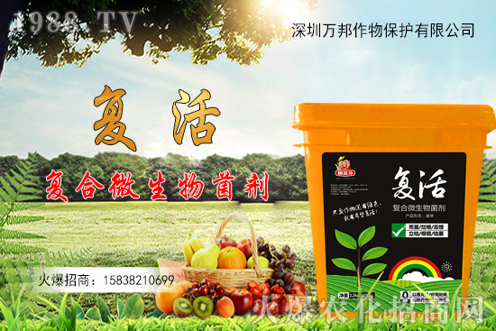 大棚油桃栽種后如何進行管理，有什么方法要點？