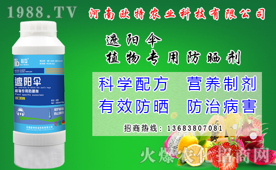 馬鈴薯可以和那些作物套種？馬鈴薯套種模式有什么好處？