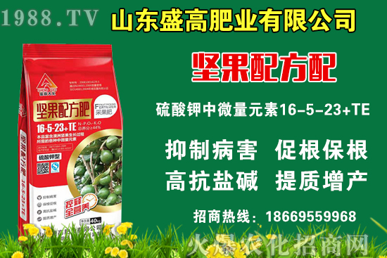 С���r��߀Ҫ�ϝq����9��9�Շ���(n��i)С���r��������