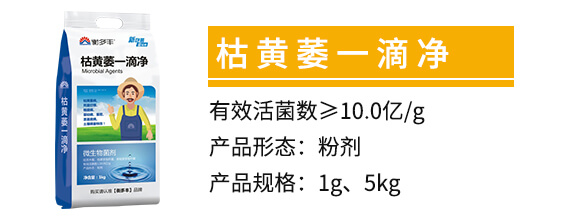 ���Sήһ�΃�-����S_02