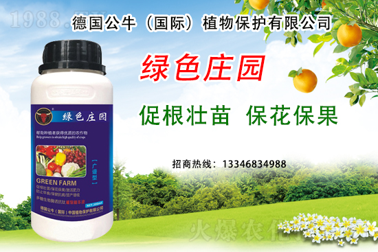 草莓著色不良到底是哪些原因？草莓著色不良又該如何避免？