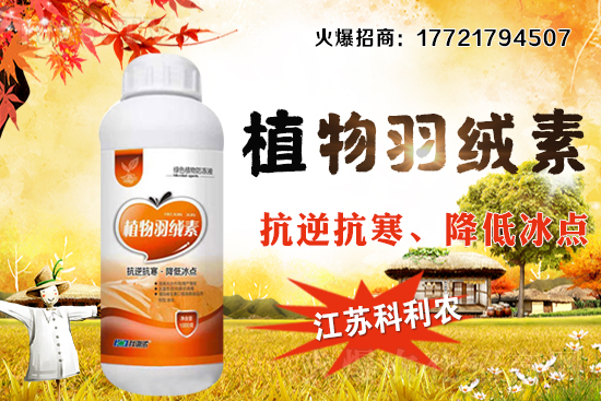 春玉米種植密度如何把握，春玉米施肥及中后期管理！