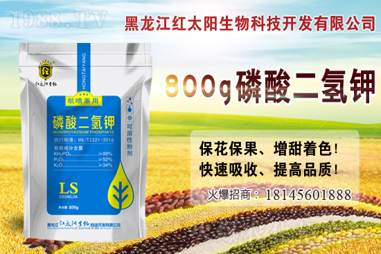     2021年小麥價格多少錢一斤？2月小麥價格會漲嗎？