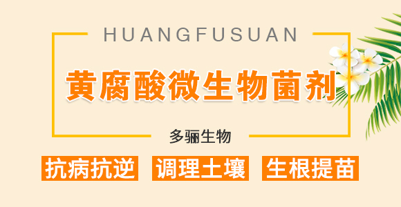 魚(yú)骨鈣-多驪生物_01