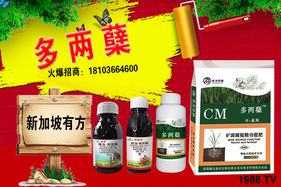 2021�����ַNֲǰ������������ֺ���ͨ�����к΅^(q��)�e��