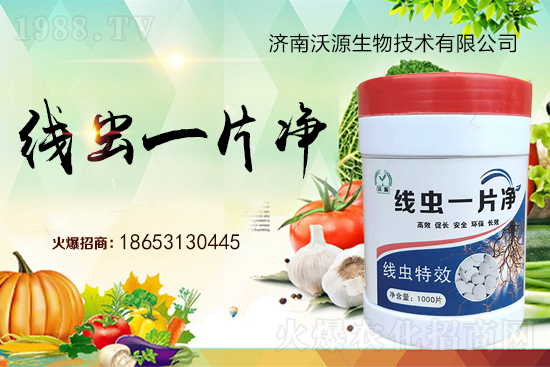 根結(jié)線蟲難防治，專治線蟲“線蟲一片凈”