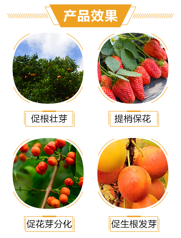 護(hù)果國際3_03