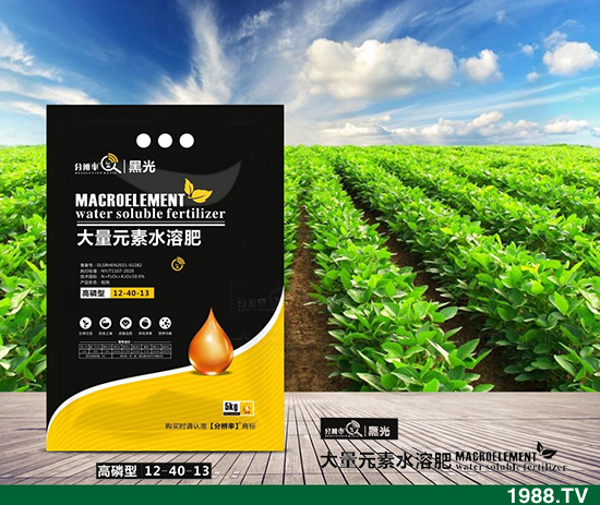 ����(w��n)�\(y��n)����2021.12.31����������@�r(ji��)��