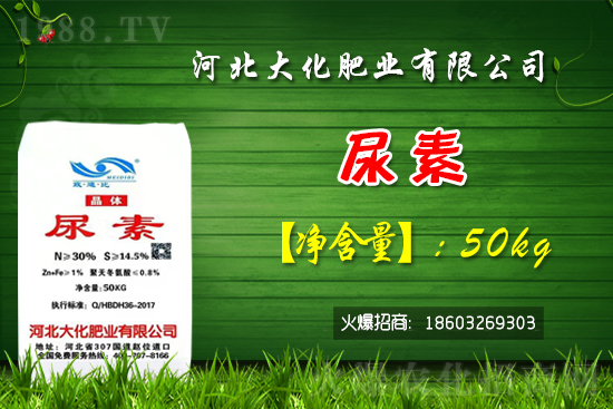 �t��������������Xһ�����Nֲǰ�������