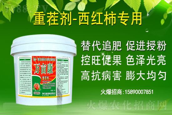 ��ʲô����(sh��)���ҽ��h�������@�}�������h��������