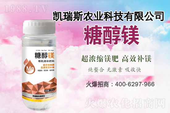 馬鈴薯噴什么葉面肥結果多?馬鈴薯種植條件及管理!