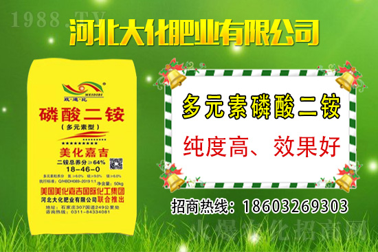 小麥價(jià)格多少錢一斤?2021年3月12日麥價(jià)格分析