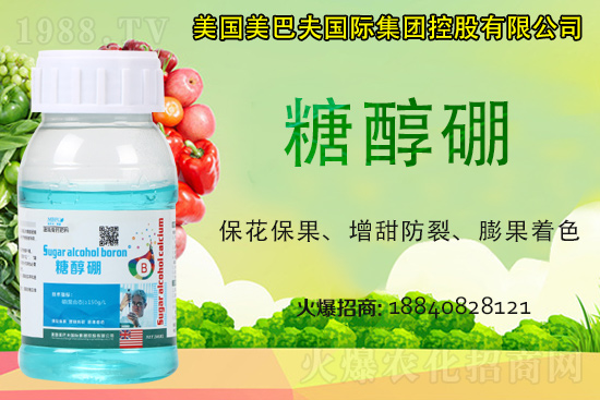 ���յ��ȶ����Xһ����2021�굾�ȃr���Ƿ�߀���q��