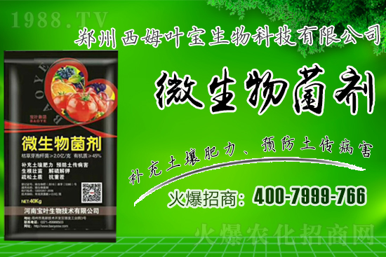 春季適合露地栽培的蔬菜品種有哪些?有哪些種植注意事項?