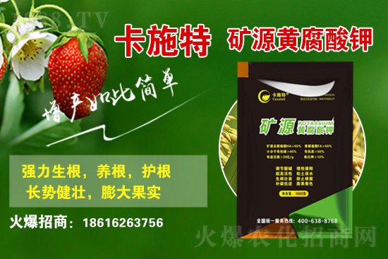 ���ջ����r������Xһ����2021��3��19�ջ����r������