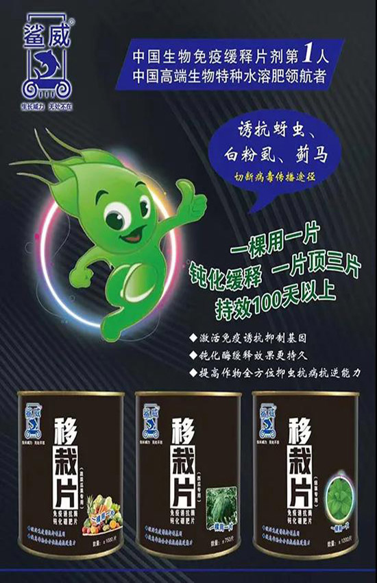 作物移栽時(shí)，怎么做能有效避免蟲害呢？