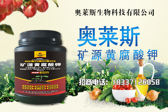 靈芝生產(chǎn)季節(jié)是什么時(shí)候？靈芝熟料段木仿生栽培技術(shù)！