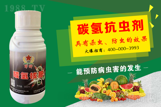 碳?xì)浜朔适鞘裁捶?為什么效果這么好?