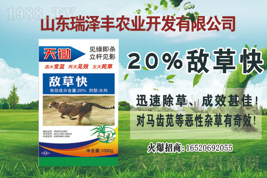 �rˎ�r���Ӎ2021��4��26��